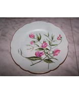 Antique 1876-1886 H&amp;Co Haviland Decorative Plate (Vetchling) - $24.99