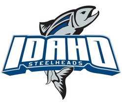 Idaho Steelheads ECHL Hockey Mens Polo XS-6X, LT-4XLT Dallas Stars Texas New - £21.01 GBP+