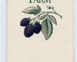 The Inn at Blackberry Farm Brochures Walland Tennessee 1996 Relais &amp; Cha... - $21.78