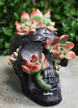 Day of The Dead Flora And Fauna Black Skull With Budding Succulents Figu... - $39.99