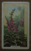 VINTAGE GALLAHER CIGARETTE CARDS WILD FLOWERS LADYS SMOCK 26 NUMBER X1 b20 - £1.37 GBP