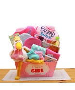 A Special Delivery  New Baby Gift Basket- Pink   - $77.95