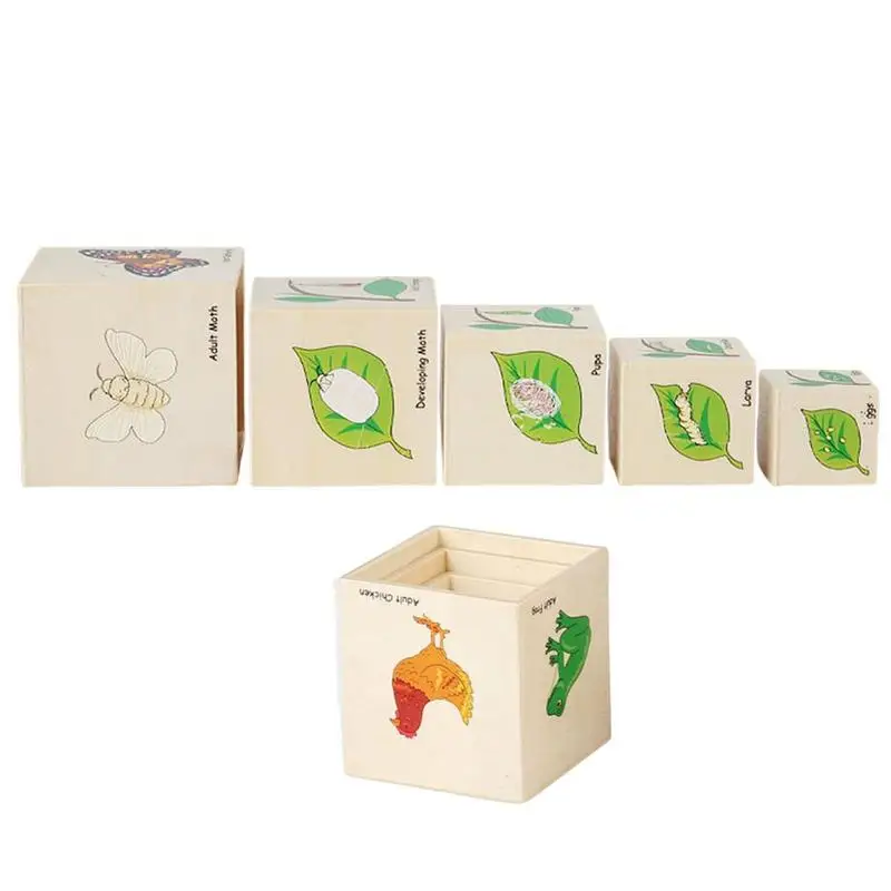 Life Cycle Puzzle Montessori Wooden Blocks Life Cycle Kit Toy Stacking Blocks - £11.36 GBP+