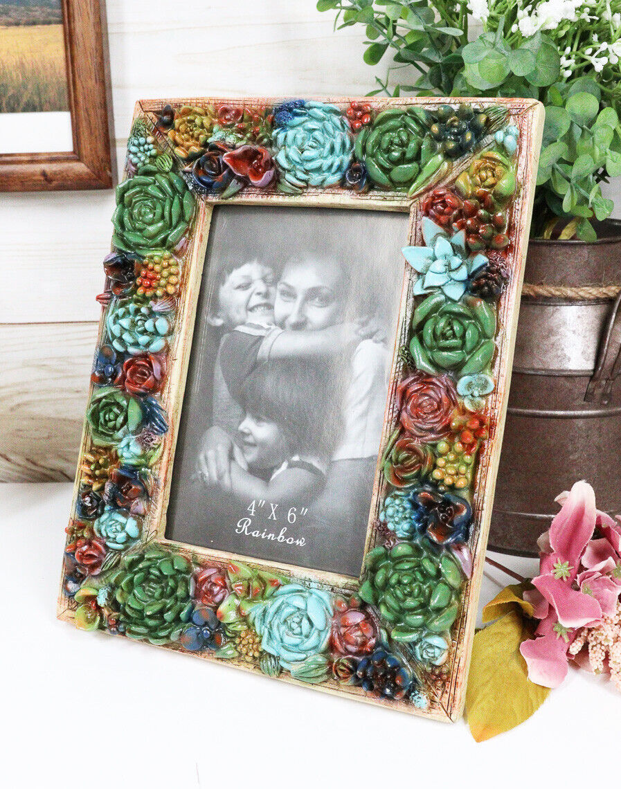 Southwestern 3D Colorful Cactus Succulent Flowers Western Picture Frame 4"X6