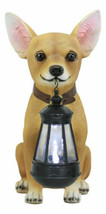 Picante Mexican Chihuahua Dog Decor Path Lighter Statue With Solar LED Lantern - £47.94 GBP