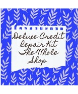 Professional Debt Removal - Credit Repair - DIY Kit - Digital Download - $155.00