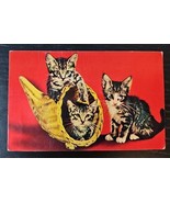 Vintage 1950s Novelty Squeaker Postcard Three Kittens in Basket - £10.55 GBP