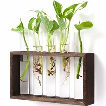 Wall Hanging Glass Planter Plant Terrarium Modern Flower Bud Vase In Wood Stand  - £20.77 GBP