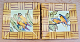 Tropical HAND PAINTED Plates Macaws -Parrots Bamboo Border 9&quot; x 9&quot; Pacific Rim - £15.85 GBP