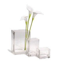 Square Glass Vase Clear 3 X 4 X 3Inches - £20.41 GBP