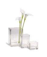 Square Glass Vase Clear 3 X 4 X 3Inches - £20.27 GBP