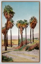 Desert Palms CA Fred Martin Hand Colored Gilded Photo Postcard I30 - £15.94 GBP