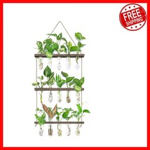 Stylish Wall Terrarium with Wooden Stand - 5 Glass  Tubes for Plant Lovers - $631.74 MXN