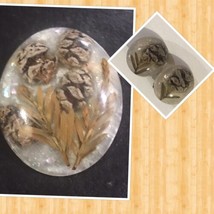 vintage Clip On dry Pine  &amp; Leaves in celluloid Earrings And Brooch - £23.77 GBP
