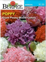 SKMO Poppy Giant Peony Mixed Colors Flower Seeds Burpee  - £7.60 GBP