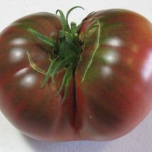 Carbon Tomato Seeds Organic Fast Shipping - $8.98