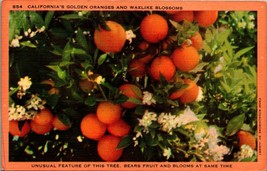 Golden Oranges Waxlike Blossoms CA California UNP Linen Postcard Agriculture - £3.06 GBP