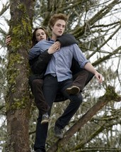 Twilight saga Kristen Stewart Robert Pattinson stand in tree 24x36 inch poster - £23.97 GBP