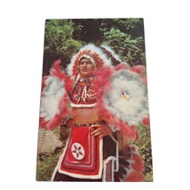 Postcard Chief Henry Cherokee Indian Reservation Cherokee NC Chrome Unposted - £5.48 GBP