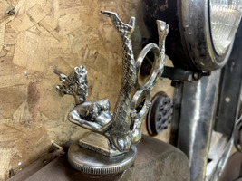 Item image 11