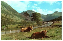 The Road to the Hills Glen Nevis # PT36260 - £4.63 GBP