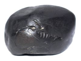 Item image 13