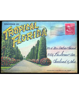 1950 color litho linen POST CARD accordion-fold album TROPICAL FLORIDA p... - £4.08 GBP