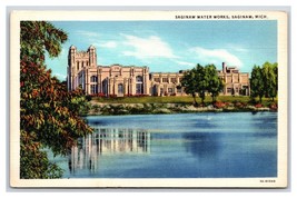 Saginaw Water Works Saginaw Michigan MI UNP Linen Postcard V20 - $3.91