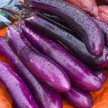 Purple Eggplant Seeds Italian Eggplant Aubergine Seeds 200 Seeds  - £19.91 GBP