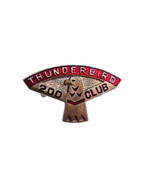 Vintage Thunderbird 200 Club Eagle Copper Tone Bowling Lapel Hat Pin Badge - £11.72 GBP
