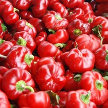 Sweet Pimento L Pepper Seeds 25+ Mild Bell Vegetable Garden Annual Free Shipping - £8.86 GBP