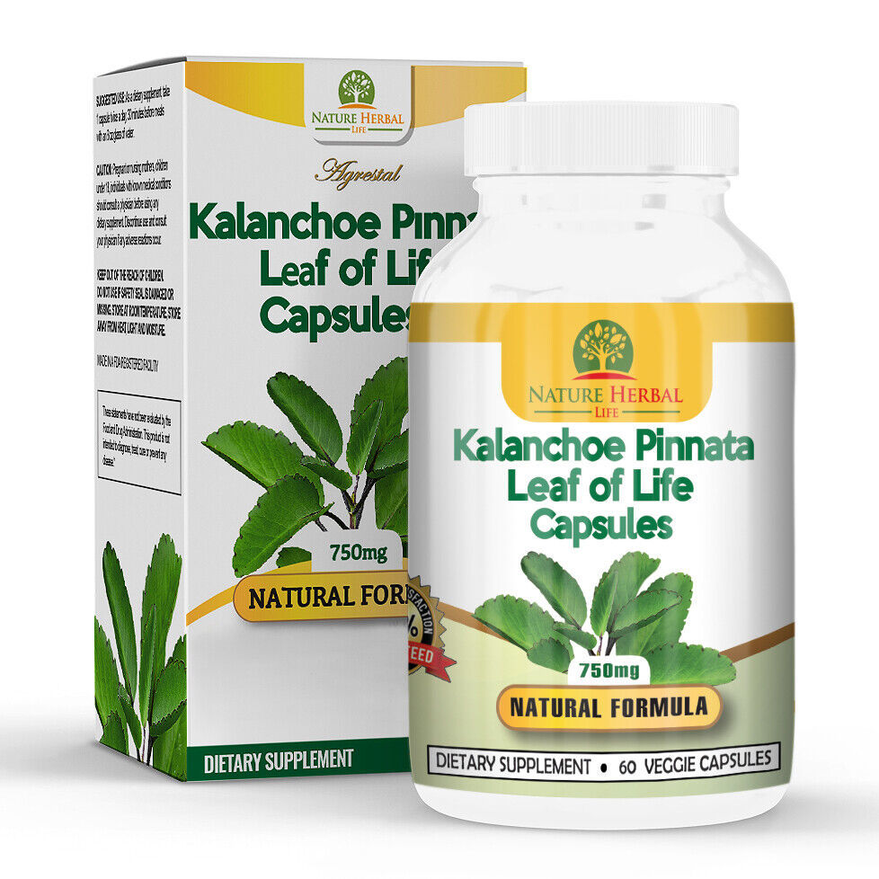 Kalanchoe Pinnata. Lao Di Sheng Gen-Life Plant Capsulas. 1 Bottle-750mg 60 Caps.