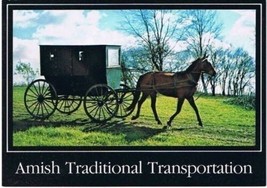 Amish Horse Buggy Postcard Indiana Michigan Traditional Transportation - $2.96