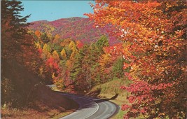 ZAYIX Postcard Fall Color Highway Scene Smoky Mountains National Park 10... - £3.93 GBP