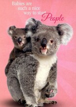 Sweet Kuala Baby - Tree Free Greeting Card - 14729 - $2.79