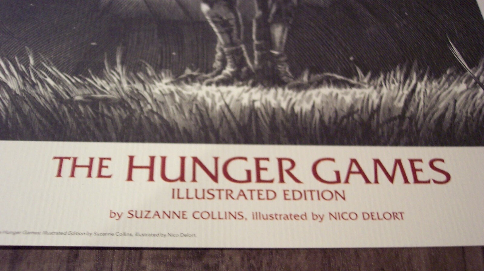 THE HUNGER GAMES Illustrated Edition NYCC COMIC CON EXCLUSIVE POSTER Litho Print Item image 3