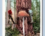 Lumberjacks Taglio Grande Albero Unp Detroit Publishing Udb Cartolina Q8 - £5.60 GBP