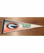 Vintage AAA Delmarva Shorebirds Baseball Pennant 99.9 Froggy KG JD - $377.48 MXN
