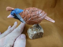 (Y-BIR-QU-41) Quail tan white blue bird gemstone STONE figurine Peru quails - $33.96