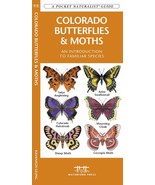 Colorado Butterflies &amp; Moths: A Folding Pocket Guide to Familiar Species... - $19.99