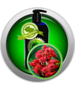 Castor Oil - USP - $12.99+