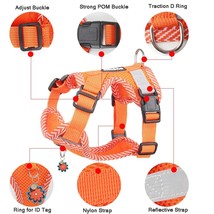 4-point Adjustment Dog Harness and Leash Set for Small Dogs Reflective M... - £8.93 GBP+