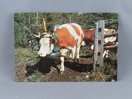 Vintage Postcard - Cow in the Swiss Alps - Foto Gyger - £11.74 GBP