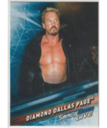 2019 wwe smack down DDP Diamond Dallas Page men&#39;s Division Topps card#72... - £1.49 GBP