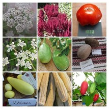 Home garden package from India - 9 variety - 255+ seeds - V 125 - £9.66 GBP