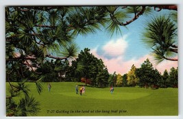 Golfing In The Lost Pine Virginia Postcard Linen Unposted Asheville Golf Golfer - £8.57 GBP