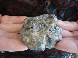 (DF836-1) 4 oz Fossil REAL DINOSAUR POOP Coprolite Dino Utah Jurassic DU... - $431.54 MXN