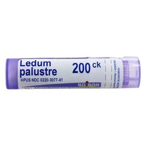 Boiron Ledum Palustre 200 CK, 80 Pellets - $13.49
