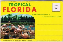 Postcard Booklet Tropical Florida Attractions - £5.54 GBP