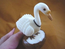 (TNE-BIR-GO-296A) white Goose or Swan TAGUA NUT palm figurine carving geese duck - £21.33 GBP